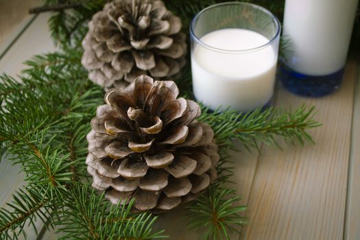 Milk in a glass cup background and pine branches with buds, pine shoots on a wooden table close up
