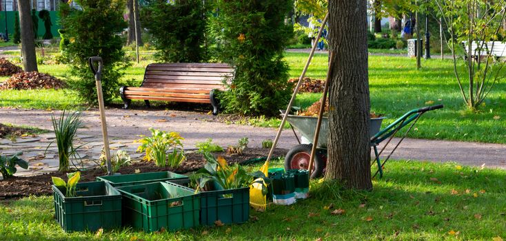 Cart, rake, containers with seedlings.Autumn leaf cleaning in the Park.