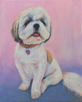 A Shih-Tzu dog sitting on blue and pink background. Acrylic Painting on Canvas