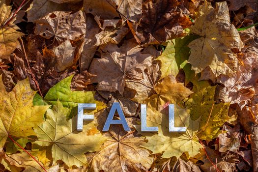 the word fall laid with metal letters over yellow autumn fallen leaves - closeup with selective focus.