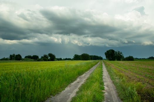 Rural road through green fields and rainy clouds on sky, summer view