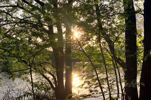 Beautiful sunset landscape at a lake with a reflective water surface.