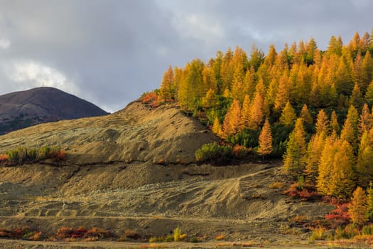 Power lines stand on beautiful colored hills in the tundra of Russia.