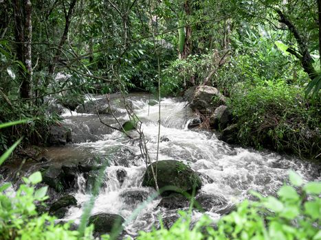 Waterfall in summer green forest. Clear stream running fast on stones covered with moss in national park.