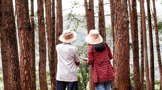 Young woman with her grandfather using digital tablet in pine forest, talking about family organic farm. Modern technology smart farming agriculture and family togetherness concepts.