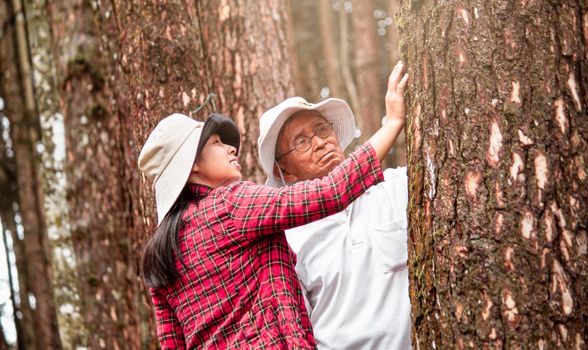 An adult daughter with senior father touching a tree in the woods. Earth's day concept with people protecting the trees from deforestation.