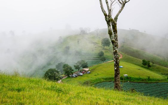 Landscape of beautiful mountains with green meadows and blue sky in the morning.