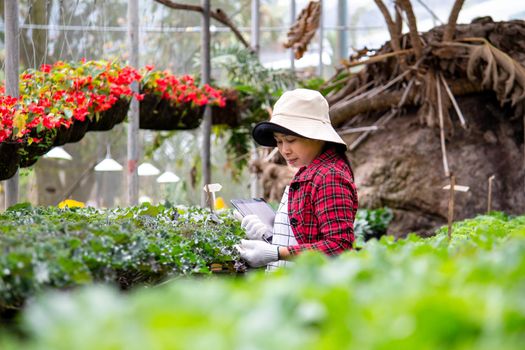 A happy female farmers with a tablet in her hand stands near a flowers in the greenhouse. Modern technology for farmers and floriculture.