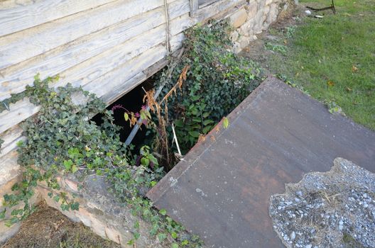 metal covering on dilapidated basement or cellar entrance with plants
