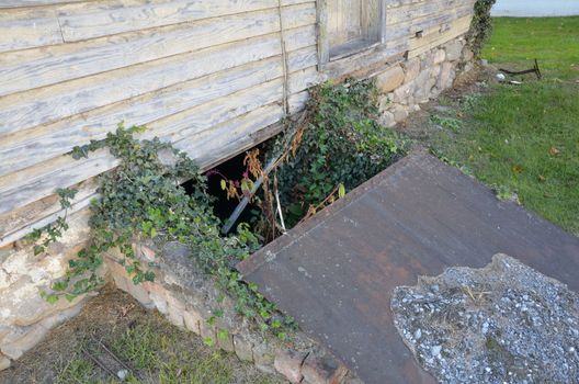 metal covering on dilapidated basement or cellar entrance with plants