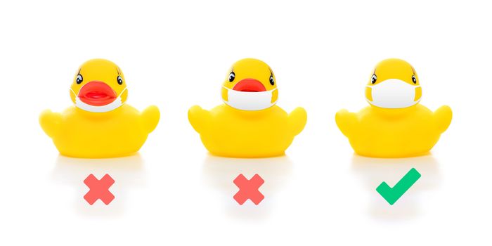 cute yellow rubber ducks in face masks on white background, image shows how to wear mask properly covering over nose and mouth, concept of flu prevention during situation of COVID-19 to stop pandemic