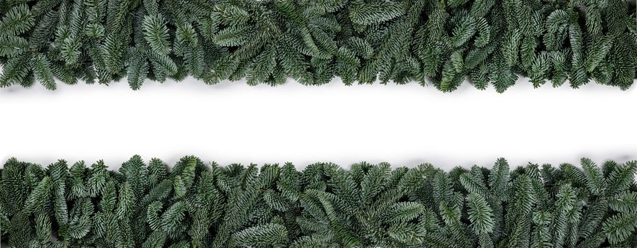 Natural noble fir Christmas tree border frame isolated on white , copy space for text