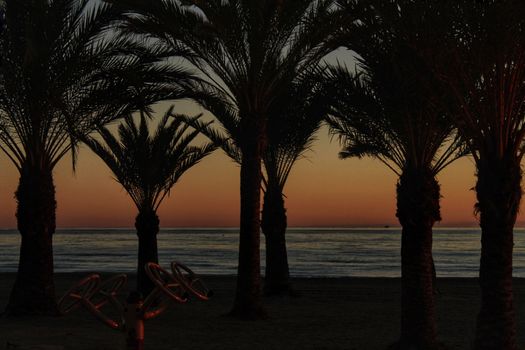 Sunset in an oasis of palm trees on the beach in southern Spain