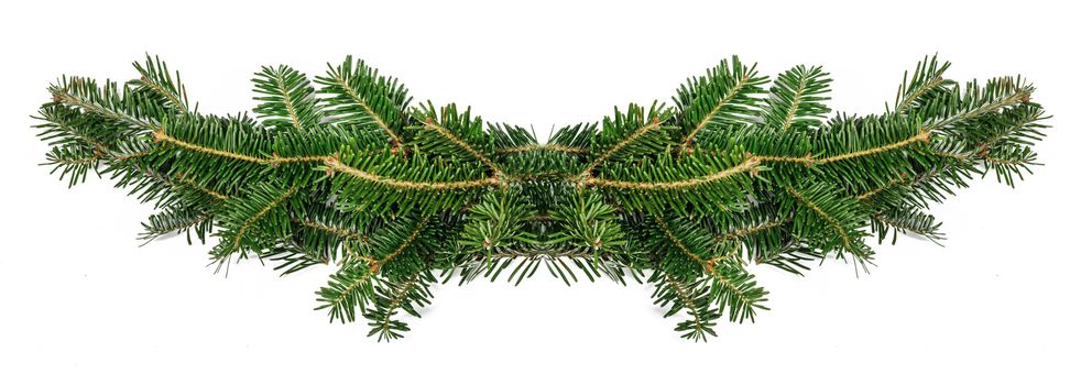 Natural fir Christmas branch frame isolated on white , copy space for text