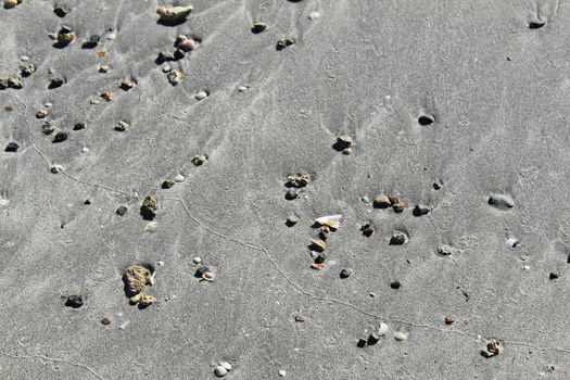 Textures on the beach sand in a sunny day