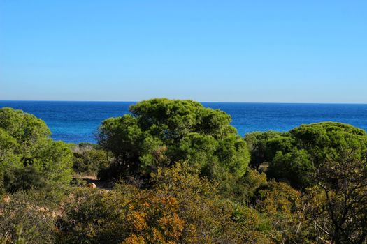 Green Landscape in southern Spain on the beach