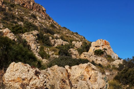 Vegetation in cliffs of the Alicante coast