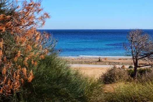 Green Landscape in southern Spain on the beach