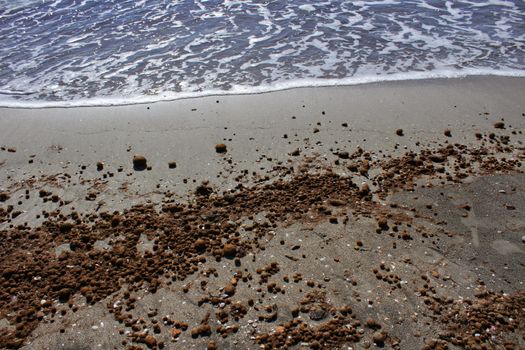Oceanic Posidonia remains on the shore after the storm in Santa Pola, Spain