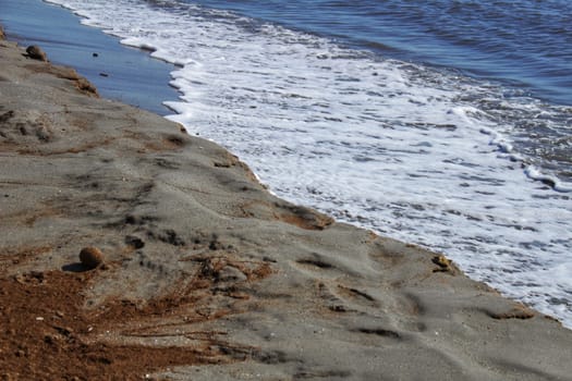 Oceanic Posidonia remains on the shore after the storm in Santa Pola, Spain