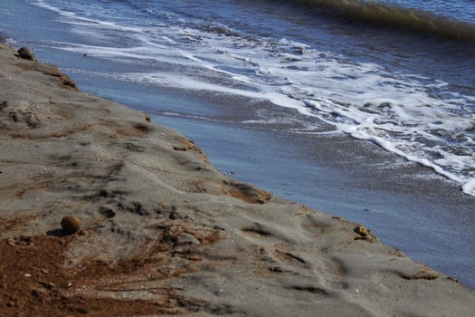 Oceanic Posidonia remains on the shore after the storm in Santa Pola, Spain