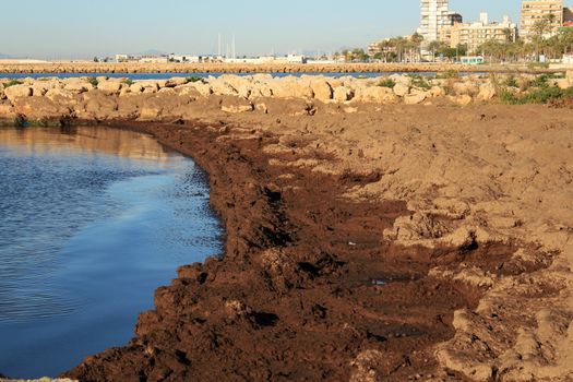 Oceanic Posidonia remains on the shore after the storm in Santa Pola, Spain