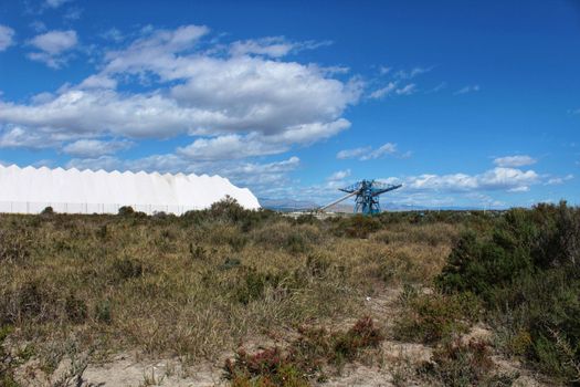 Salinas and vegetation under blue sky in Santa Pola, Alicante, Spain