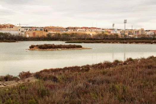 Wetlands of Santa Pola in a cloudy day of winter. Santa Pola in the background