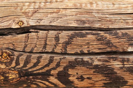 Brown wooden and veined texture