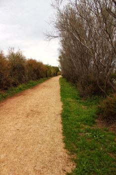 Path between vegetation in Santa Pola, Spain