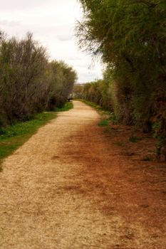 Path between vegetation in Santa Pola, Spain
