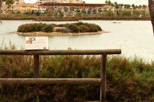 Wetlands of Santa Pola in a cloudy day of winter. Santa Pola in the background