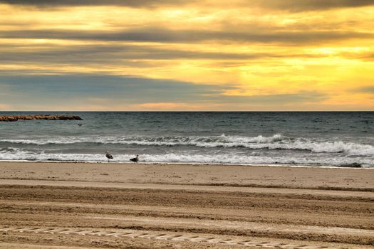 Beach under golden stormy sky in Santa Pola, Alicante, Spain