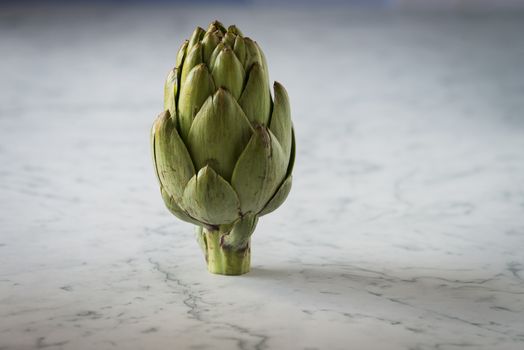 Fresh artichoke on a marble counter