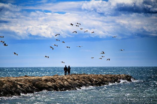 Walking day surrounded by seagulls on a breakwater under the sun in Santa Pola, Spain