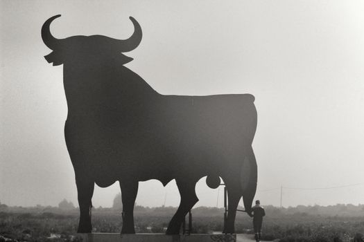 Santa Pola, Alicante, Spain- February 20, 2020: Silhouette of the mythical and typical spanish Osborne bull in the salt pans of Santa Pola, Alicante on a foggy day
