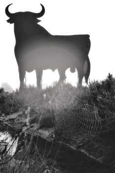 Santa Pola, Alicante, Spain- February 20, 2020: Spiderweb and Silhouette of the typical spanish Osborne bull in the salt pans of Santa Pola, Alicante on a foggy day. 