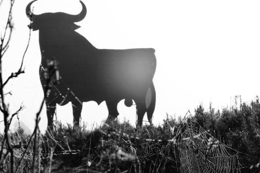 Santa Pola, Alicante, Spain- February 20, 2020: Spiderweb and Silhouette of the typical spanish Osborne bull in the salt pans of Santa Pola, Alicante on a foggy day. 