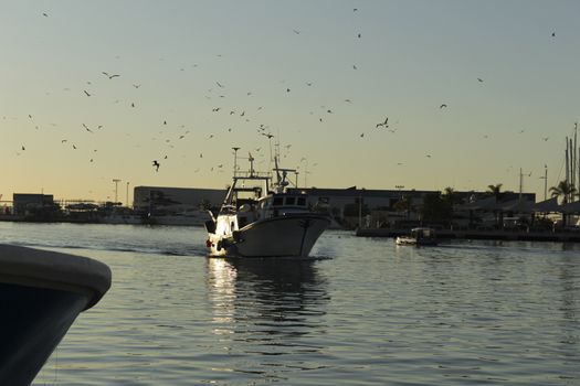Fishing boat entering port in southern Spain