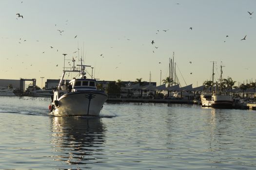 Fishing boat entering port in southern Spain