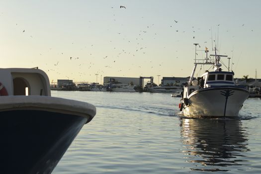 Fishing boat entering port in southern Spain