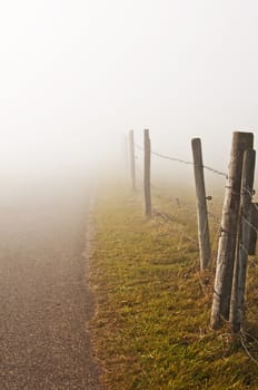 descending fog in autumn