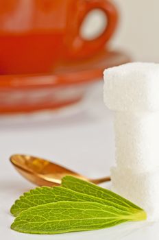 Stevia rebaudiana the herbal support for sugar