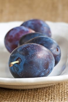 damson