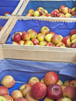 apples at a street sale