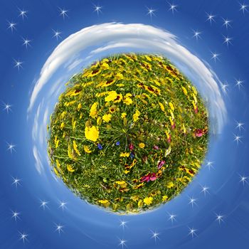 planet with flowers is flying through space