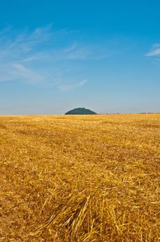 stubble field with hill