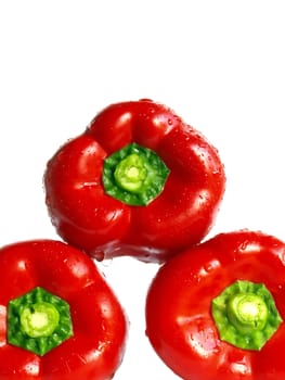 red pepper with water drops isolated on a white background