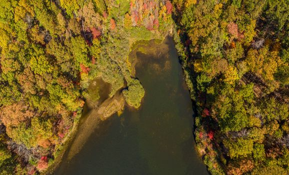 Aerial drone image looking straight down onto the Coopers Rock Lake and Glade Run in the state park in the autumn. Located near Morgantown WV