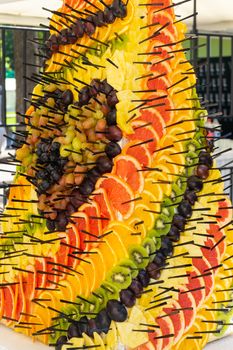 Original fruit slicing. Fruit composition. Close up.